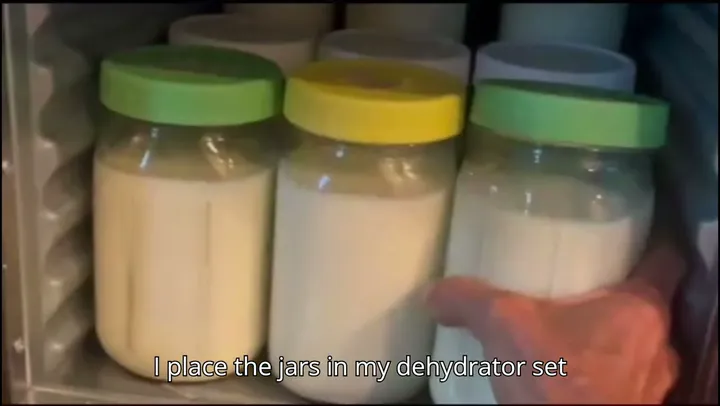 Jars of homemade yogurt with coloured lids in a dehydrator